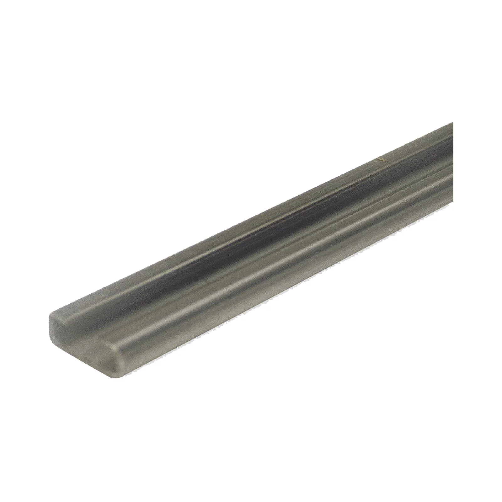Riel tipo C / Compatible con motor ACCESSFORCE y FS1000APPRT.
