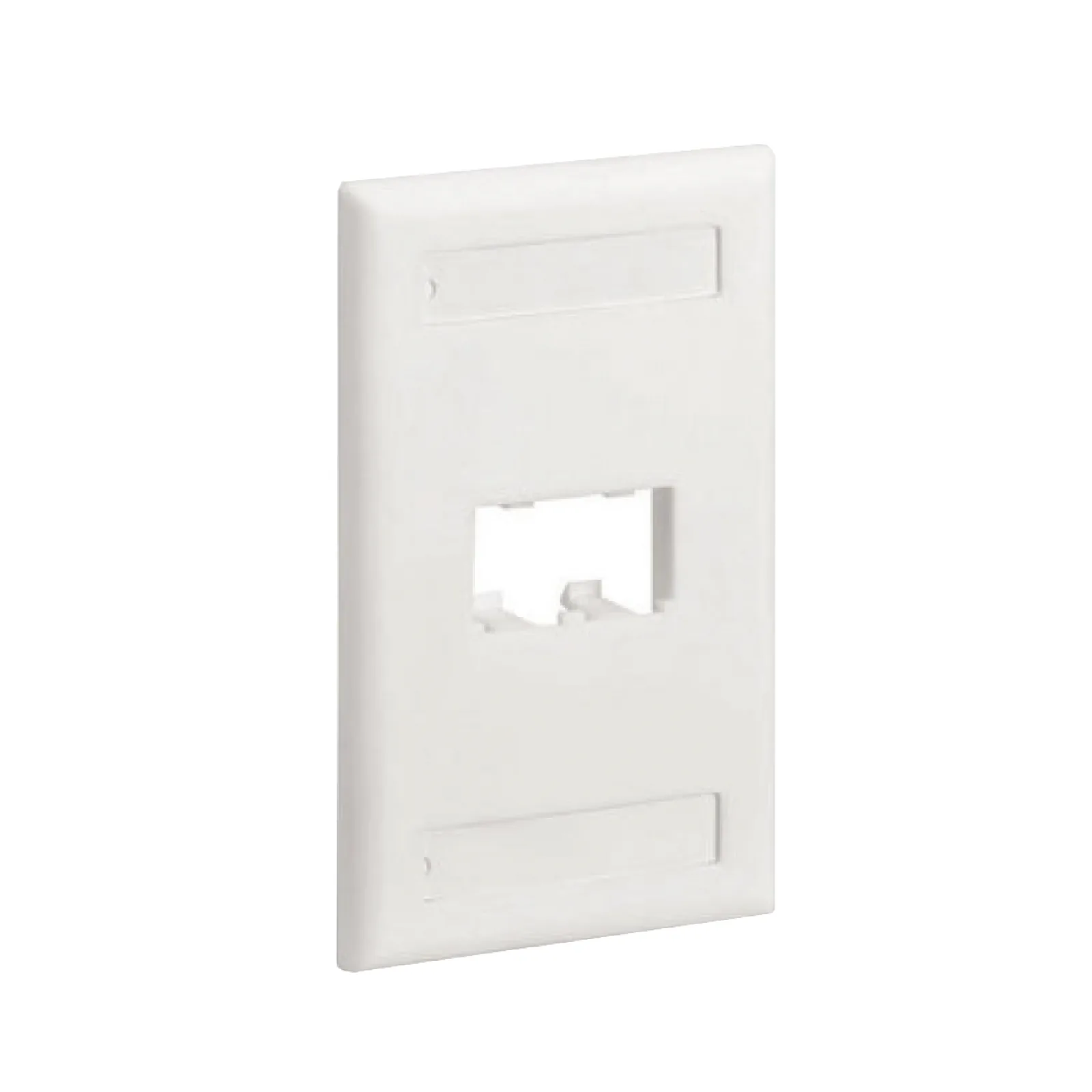 Placa de Pared Vertical Clásica, Salida Para 2 Puertos Mini-Com, Con Espacios Para Etiquetas, Color Blanco
