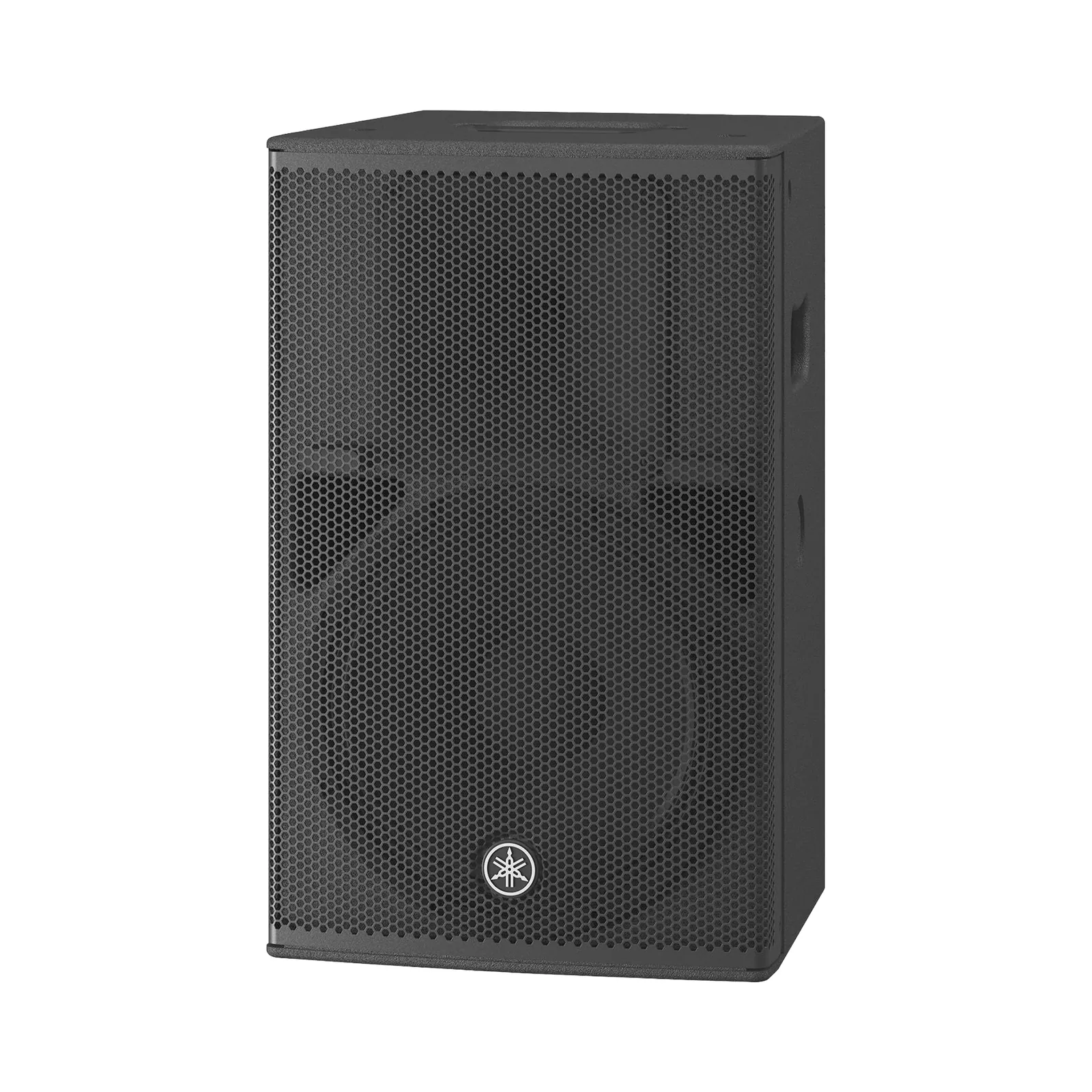 Altavoz Amplificado 12 in | Potencia: 1000w | Amplificacion Clase-D | Hecho en Madera | Para aplicaciones de Instalacion y Refuerzo Sonoro