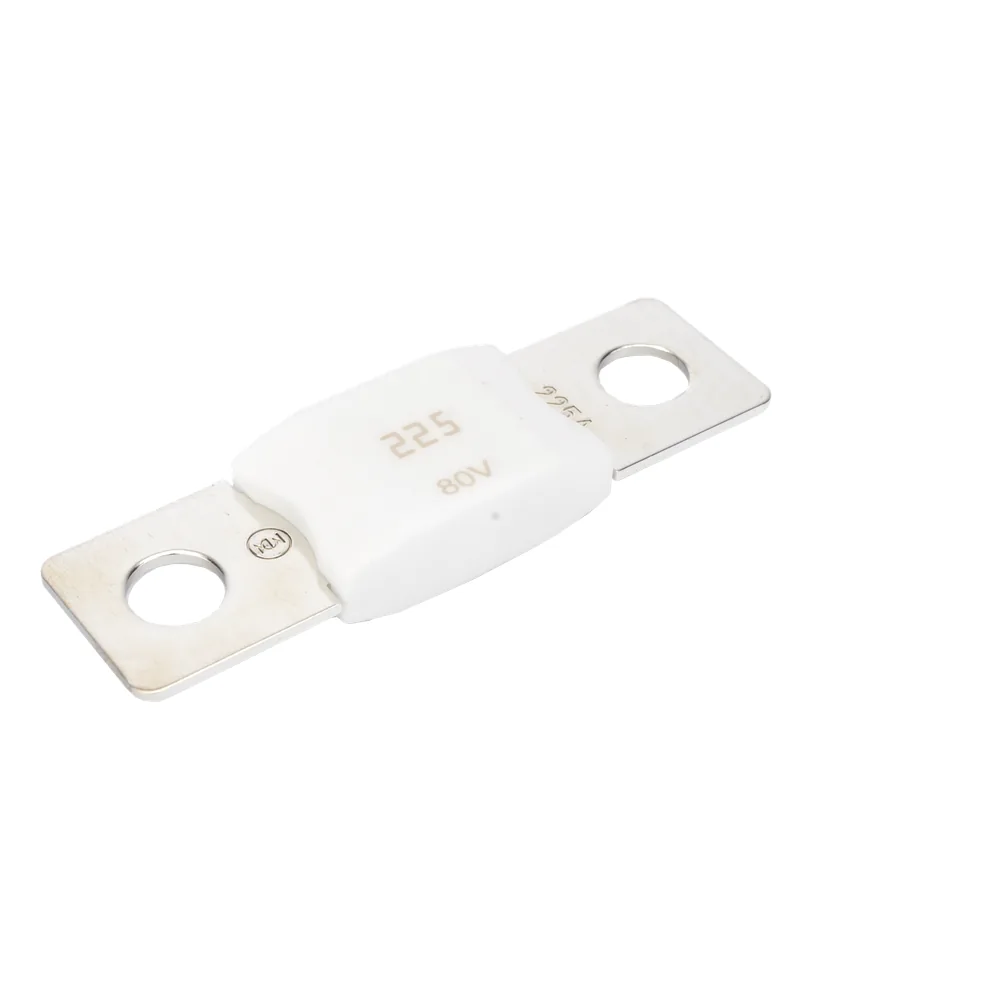 Mega Fuse 225A / 80V